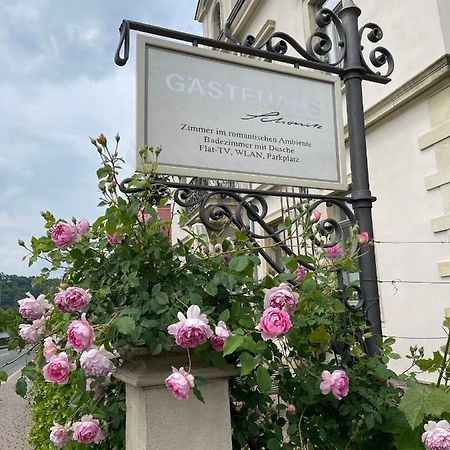 Gaestehaus Schoenitz Meißen Exteriér fotografie